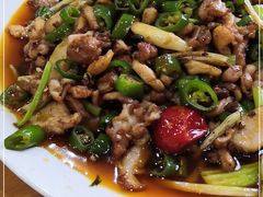 -功夫兔
