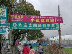 -小鱼草莓采摘园农家乐·小鱼餐厅