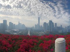 -荔枝公园-小平画像广场