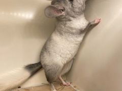 -龙猫仔乐园(惠福东路店)