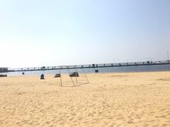 -碧海金沙