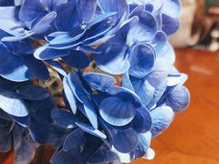 -外婆家(天河领展店)