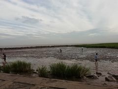 -南汇嘴观海公园