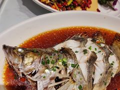 清蒸鲑鱼-江南韵·无锡太湖文化体验餐厅(凤凰天街店)