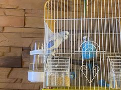 -百玺足道·按摩·SPA(航洋店)