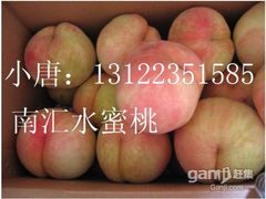 -南汇水蜜桃采摘(大团店)