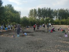 -东郊湿地公园