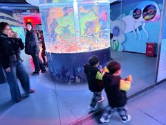 -海合安成都极地海洋公园