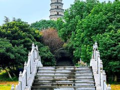 -祥源·阜阳生态乐园