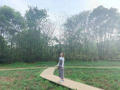 -凤凰沟景区
