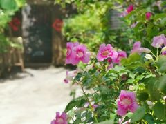-老屋咖啡