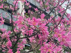 -福州大学(旗山校区)