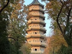 -灵谷景区