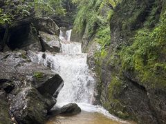 -牛背梁国家森林公园