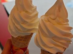 -蜜雪冰城(马栏山店)