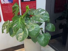 -牙博士口腔品牌连锁(城区店)