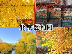 -颐和园