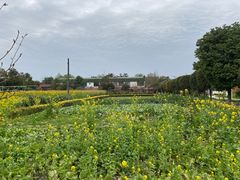 -洪湖家庭农场·团建·露营·会议