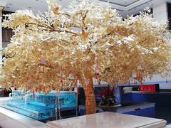 -清远恒大酒店·寻味清远