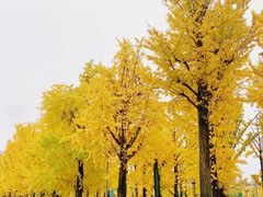 -两江幸福广场