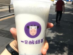 -一只酸奶牛(八一路店)