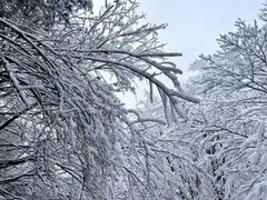 -叠溪松坪沟景区