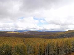 -塞罕坝国家级自然保护区