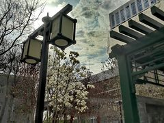 -西海子公园