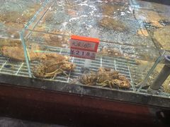 -佳和水饺(海德公馆店)