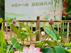 -田园印象·成都土菜院子(华阳店)