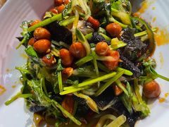 -杨氏青龙虾·羊蝎子(托乐嘉店)