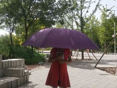 -大兴滨河森林公园