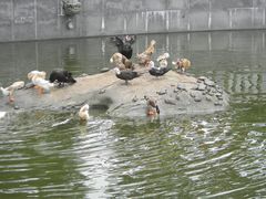 -梵天禅寺