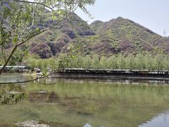 -十渡东湖港风景区