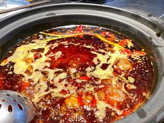 -杨家火锅(国美店)