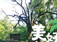 -北京密云天门山风景区