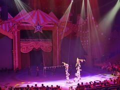 -珠海横琴长隆《卡卡虎奇遇记》