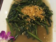 -Daddy Nimman Chiang Mai