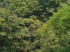 -青城两河漂流