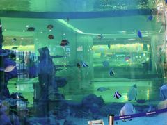 -尚泰清迈机场购物中心