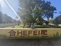 -合肥野生动物园