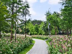 -云溪植物园
