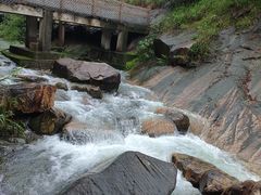 -广州白江湖森林公园