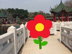 -广东圆玄道观