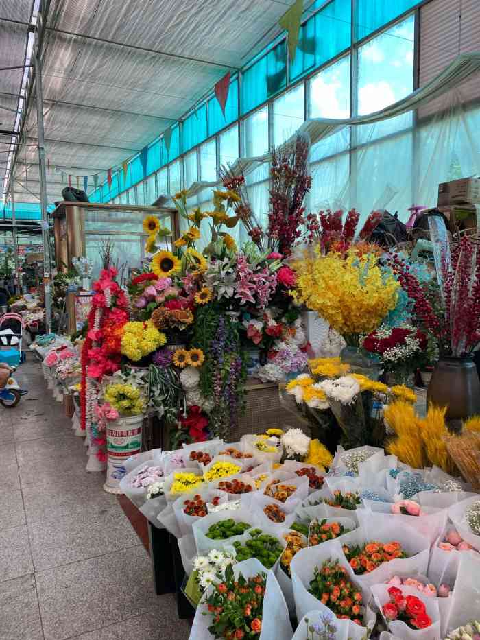 金地花卉大观园嘉茂鑫源绿植鲜花-"我家也住海淀,但是开了也10几公里