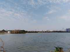 -海珠湖公园