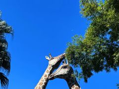 -深圳野生动物园