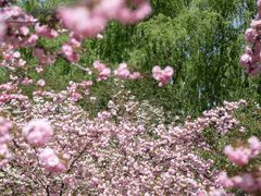 -莲花池公园