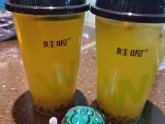 -蛙喔牛蛙(高新绿宝店)