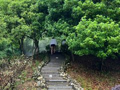 -三江森林温泉度假区